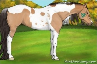 Horse Color:Buckskin Roan Tobiano 