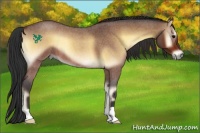 Horse Color:Brown Roan Onyx 