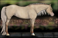 Horse Color:Gray Silver Classic Champagne Roan Dun Rabicano 