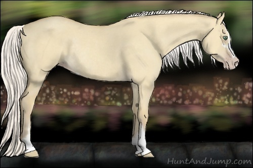 Horse Color:Silver Classic Cream Champagne Dun Sabino Rabicano