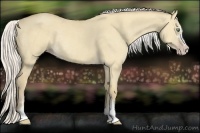 Horse Color:Silver Classic Cream Champagne Dun Sabino Rabicano