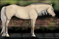 Horse Color:Gray Silver Amber Cream Champagne Dun Sabino Rabicano