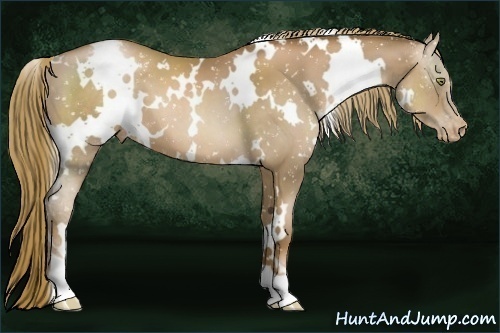 Horse Color:White Spotted Liver Chestnut Pearl Snowflake Varnish