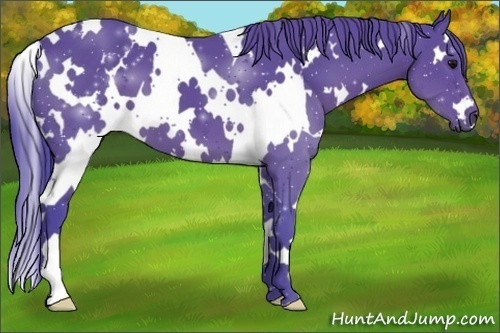 Horse Color:Watercolor White Spotted Black 