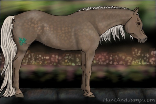 Horse Color:Silver Black