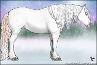 Horse Color:Gold Champagne Varnish