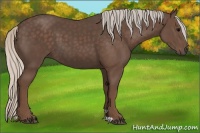 Horse Color:Silver Black 