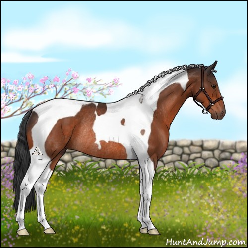 Horse Color:Brown Tobiano Rabicano 