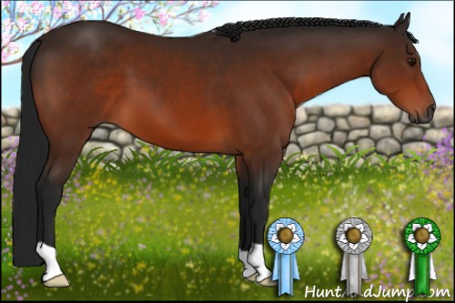 Horse Color:Gray Brown