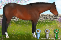 Horse Color:Gray Brown 