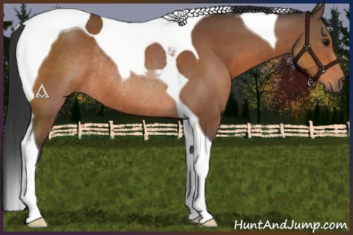 Horse Color:Bay Tobiano Rabicano 