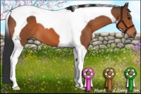 Horse Color:Bay Tobiano 