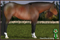 Horse Color:Gray Brown Rabicano