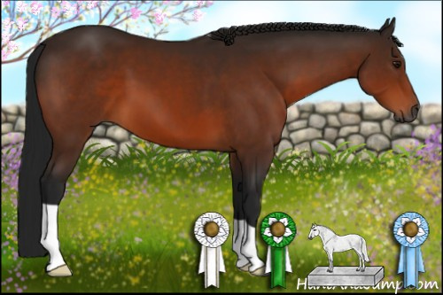 Horse Color:Gray Bay