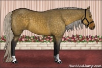 Horse Color:Silver Buckskin Dun