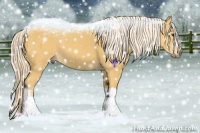 Horse Color:Palomino