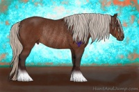 Horse Color:Silver Brown Rabicano 