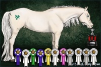 Horse Color:Silver Buckskin Roan Pearl 