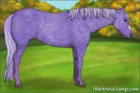 Horse Color:Watercolor Silver Black 