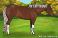 Horse Color:Silver Brown 