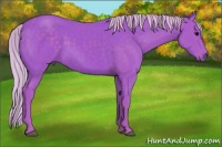 Horse Color:Watercolor Silver Black 