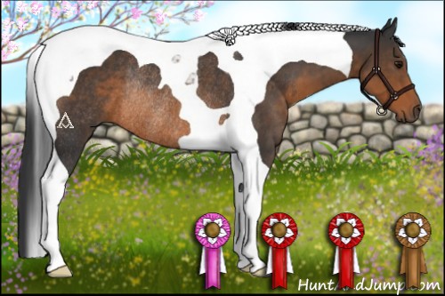 Horse Color:Brown Tobiano Rabicano 