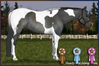 Horse Color:Black Tobiano Rabicano