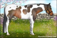Horse Color:Brown Tobiano Rabicano