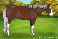 Horse Color:Silver Brown Splash 