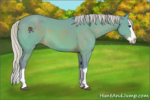 Horse Color:Watercolor Silver Brown Splash 