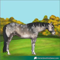 Horse Color:Blue Onyx Ice