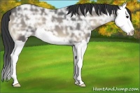 Horse Color:Blue Onyx Ice Splash