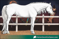 Horse Color:White Spotted Silver Brown Roan Appaloosa 
