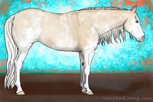 Horse Color:White Spotted Silver Grullo Pearl Splash 