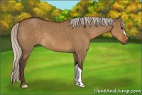 Horse Color:Silver Brown Dun