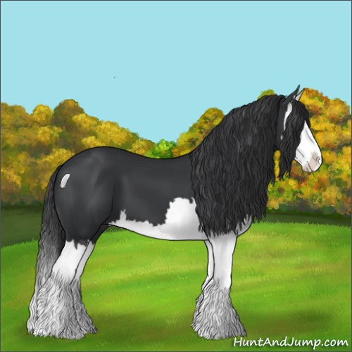 Horse Color:Black Splash 