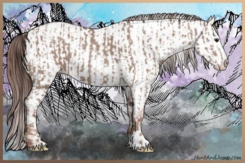 Horse Color:Classic Champagne and Classic Champagne Appaloosa