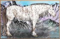 Horse Color:Classic Champagne  and Classic Champagne Fewspot 