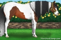 Horse Color:Brown Splash Tobiano