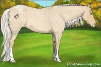 Horse Color:Silver Perlino Roan Varnish 