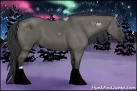 Horse Color:Grullo