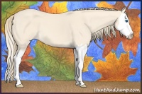 Horse Color:Perlino Splash 