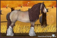 Horse Color:Chocolate Brown Roan Dun 
