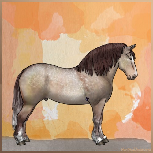 Horse Color:Chocolate Brown Roan Dun Sabino 