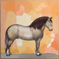 Horse Color:Chocolate Brown Roan Dun Sabino