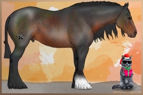 Horse Color:Brown 