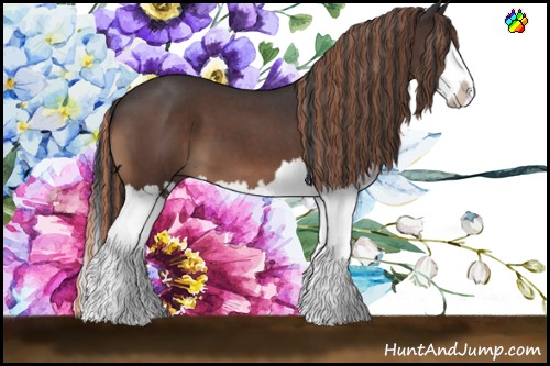 Horse Color:Painted Brown Roan Splash