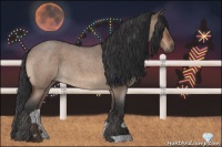 Horse Color:Brown Roan Dun 