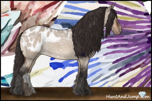 Horse Color:Bay Roan Dun Sabino Blanket 