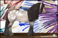 Horse Color:Bay Roan Dun Sabino Blanket 